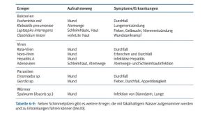 Grafik Erreger Erkrankungen